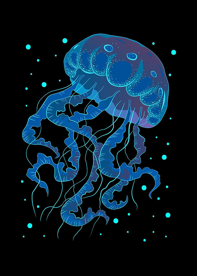 Jellyfish