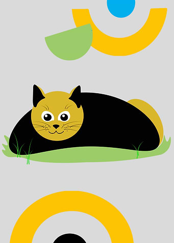 Black Cat
