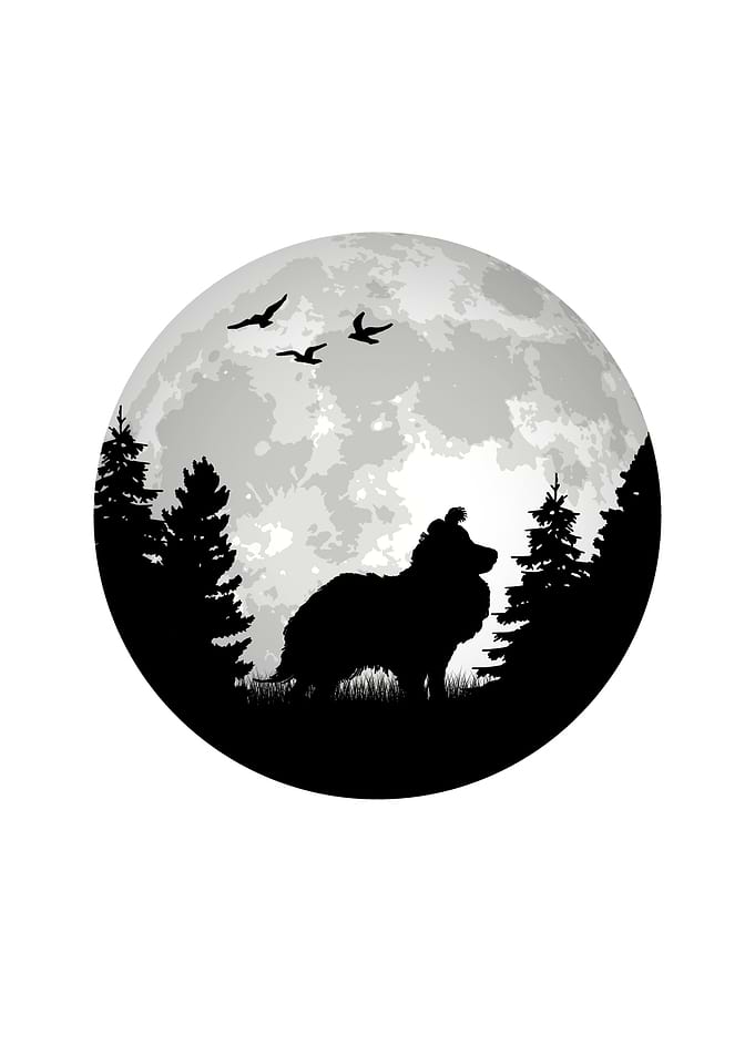 Sheltie Sheepdog Moon