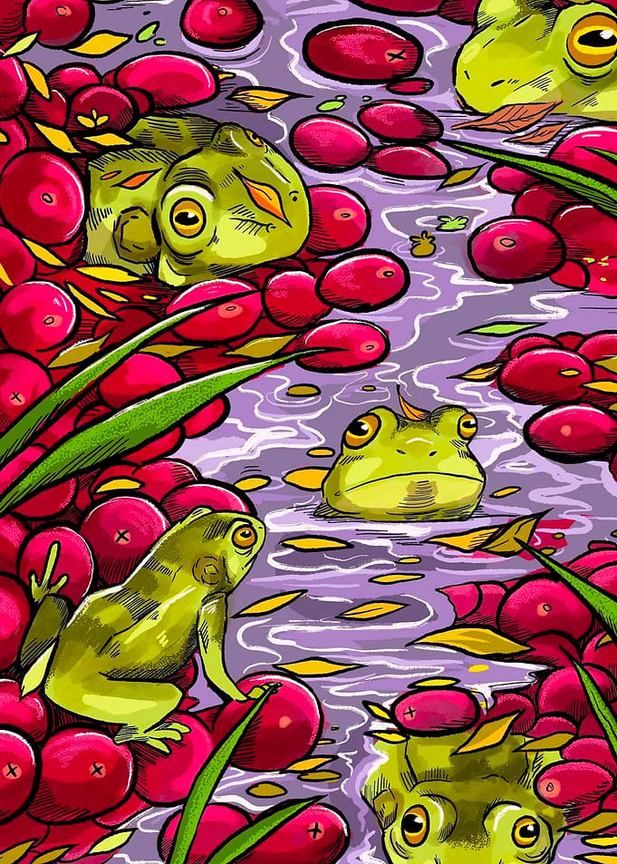 Frogs in the Bog
