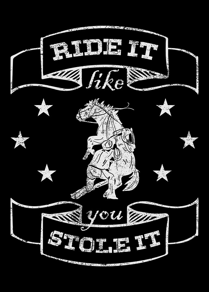 Barrel Racing Show Horse