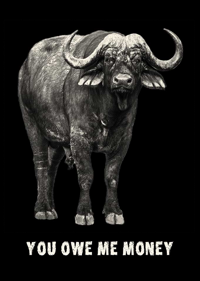 Buffalo Owe Me Money Quote