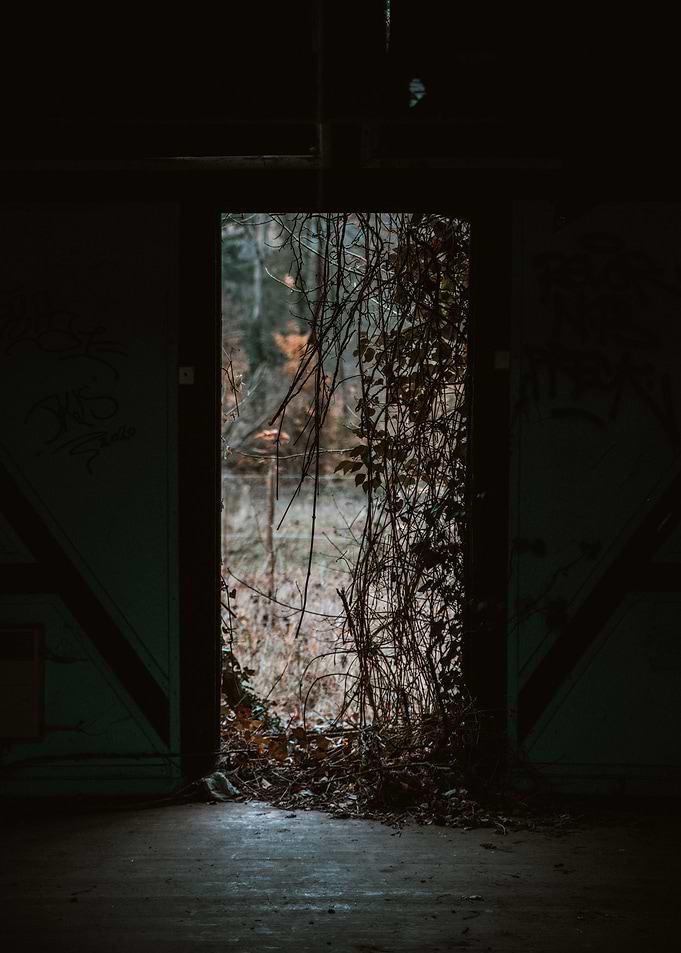 the gate
