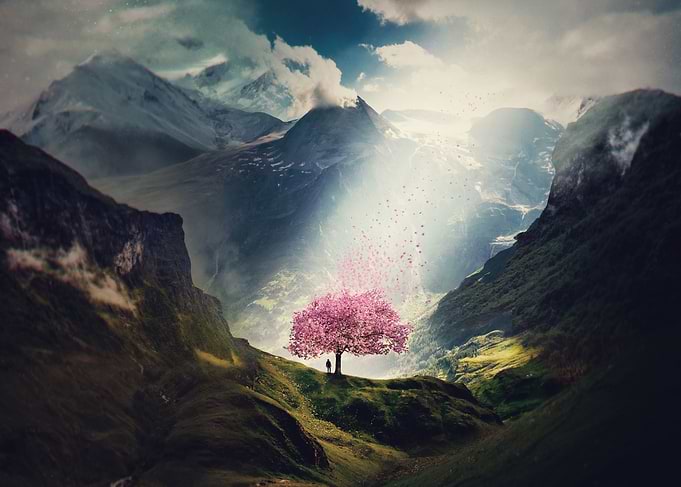 Valley of Dreams