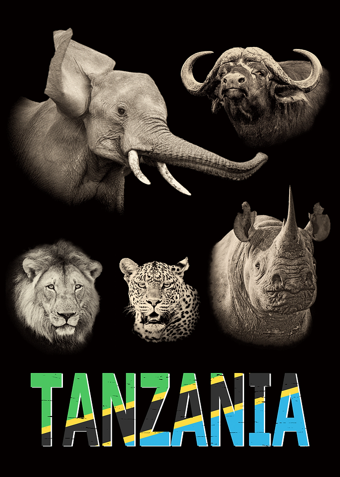 Tanzania Big 5 Widlife