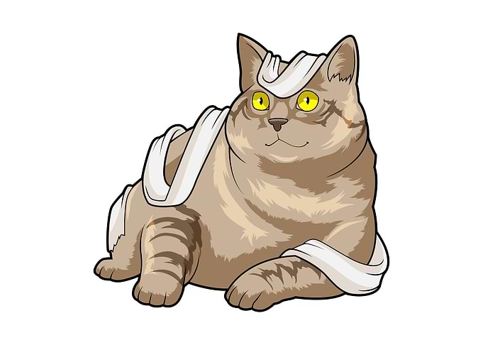 Cat Toilet paper