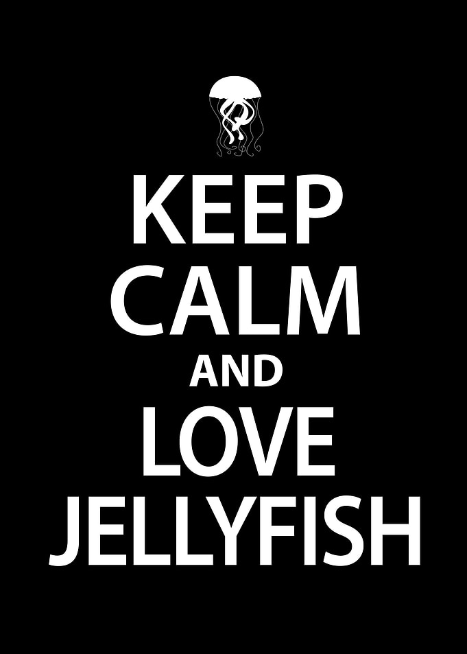 Jellyfish