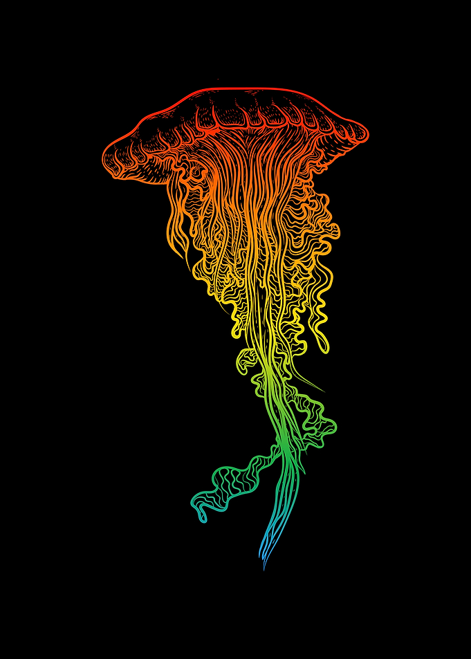 Jellyfish