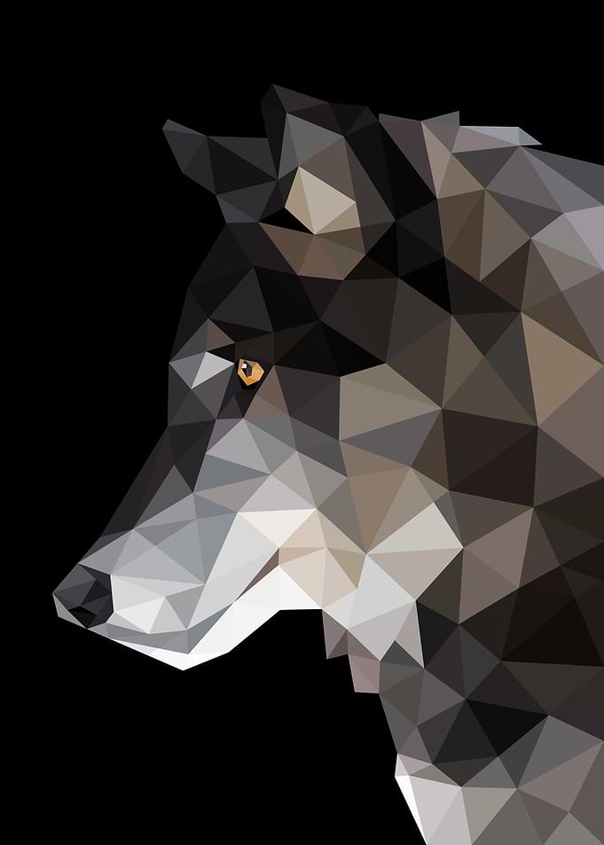 Wolf Night