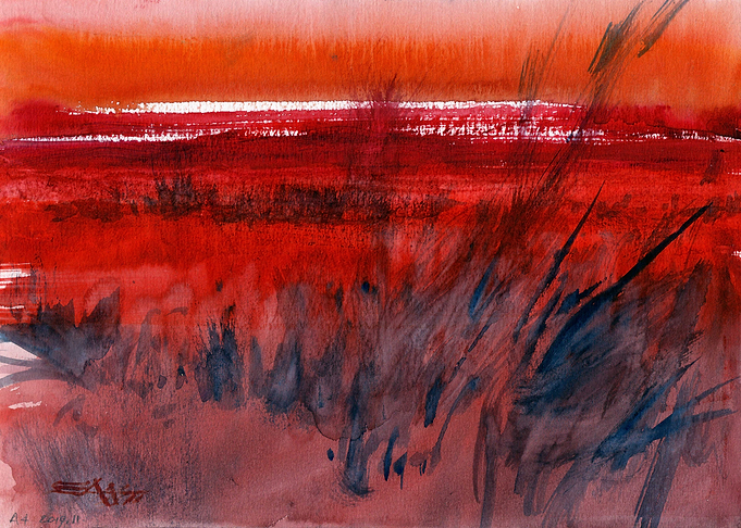 N653 Paysage