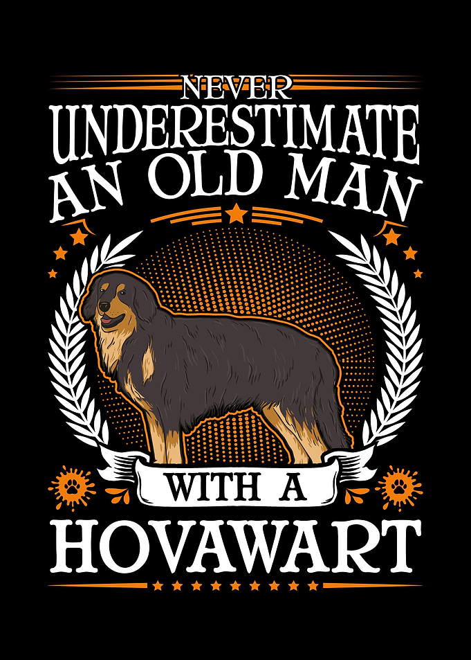 Hovawart Old Man