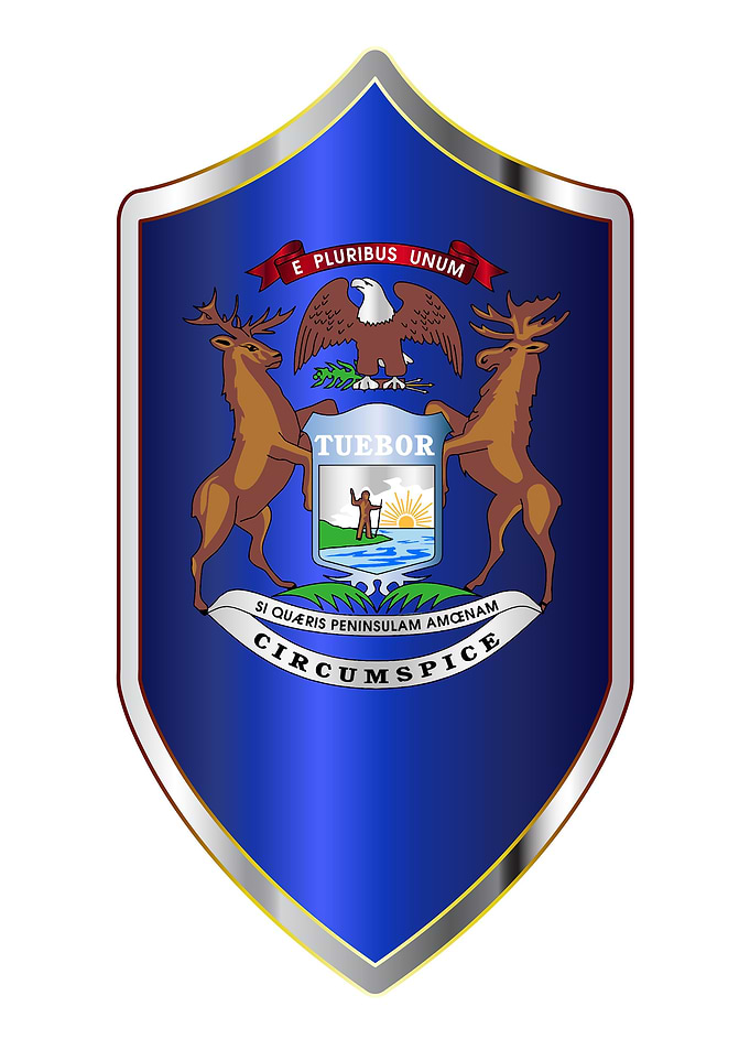 Michigan Flag On Shield