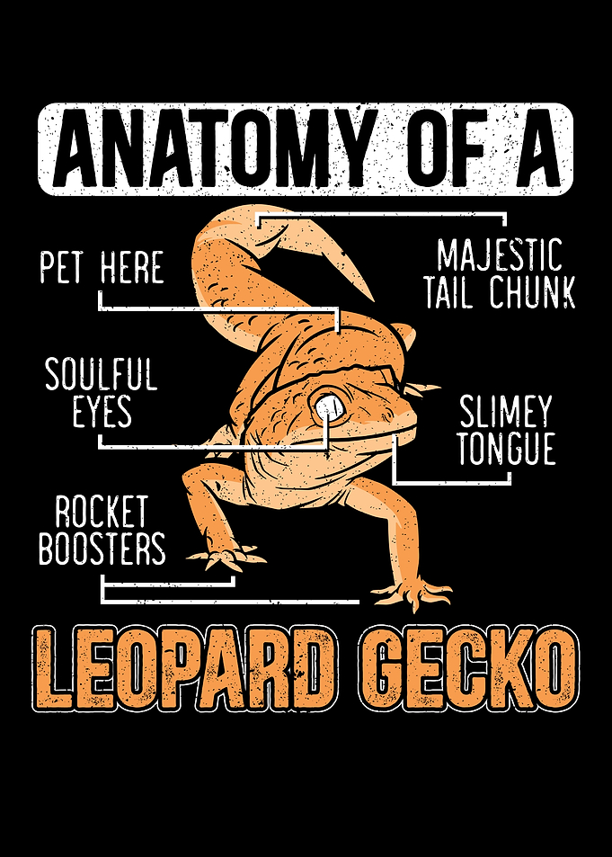 Anatomy Of A Leopard Gecko