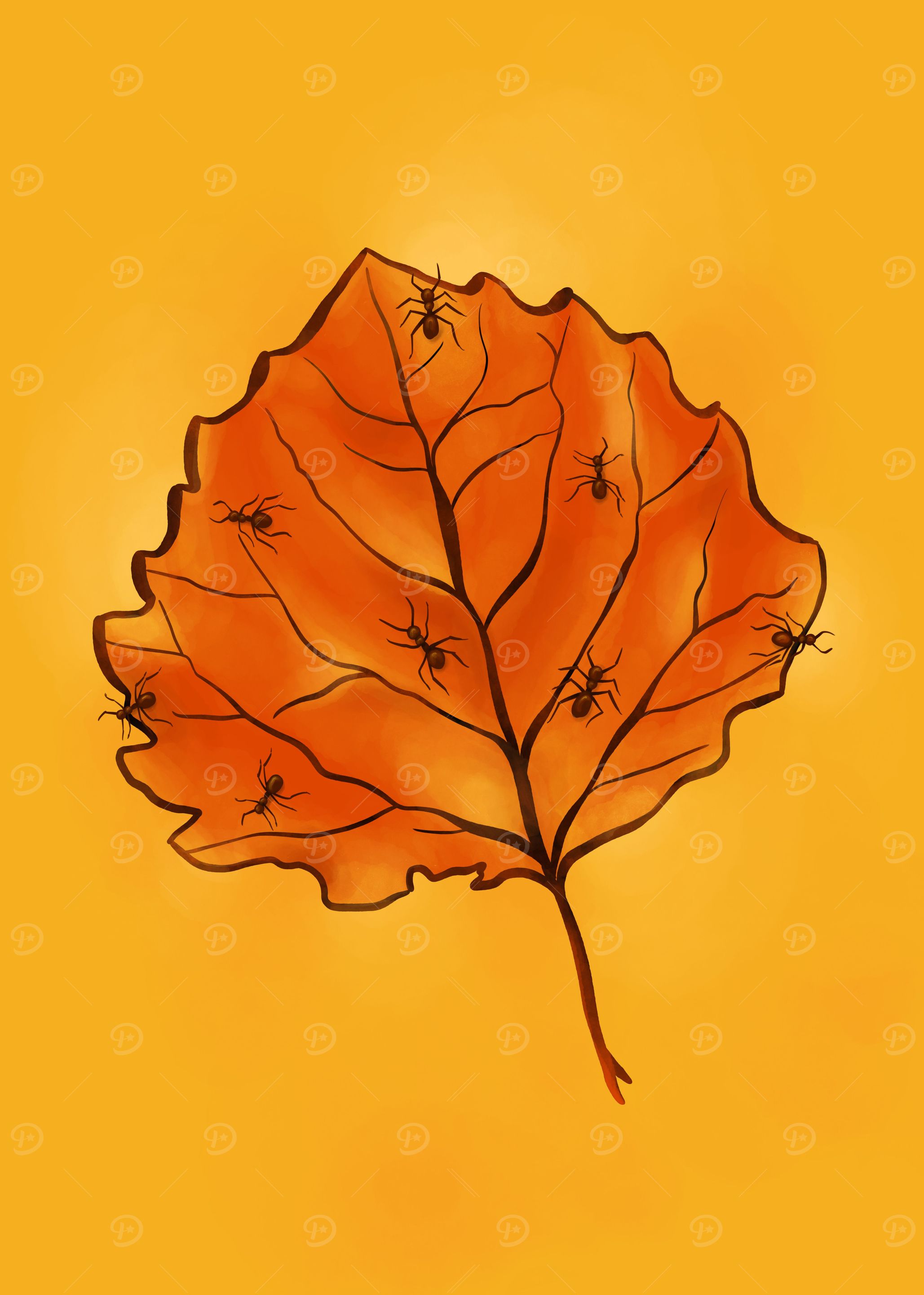 Autumn Leaf And Ants