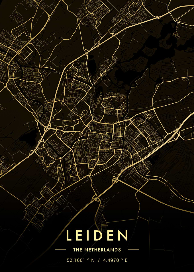 Leiden City Map Gold