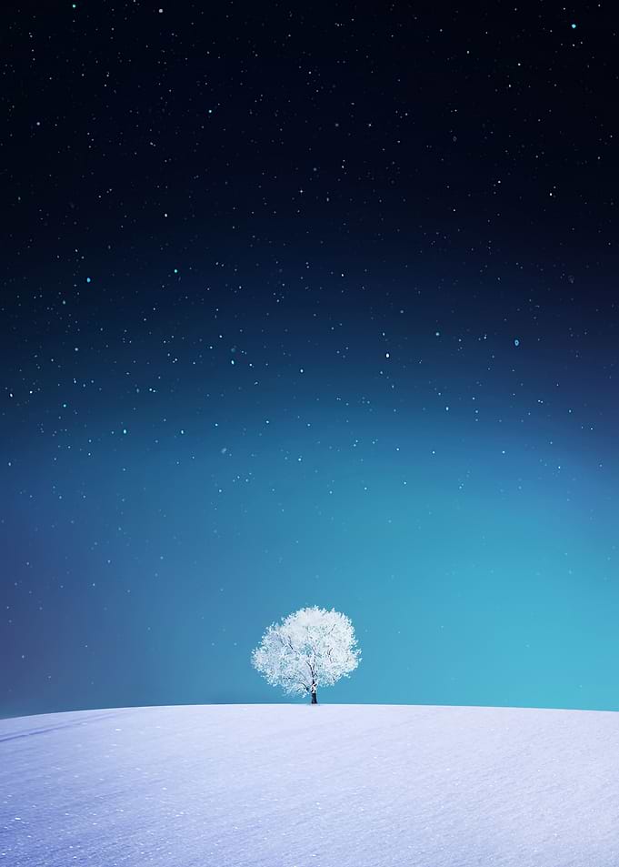 White Tree