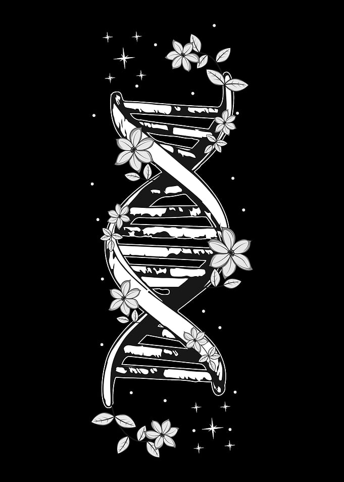 Plants DNA Gardener and Na