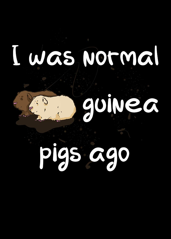 I was normal 2 guinea pigs