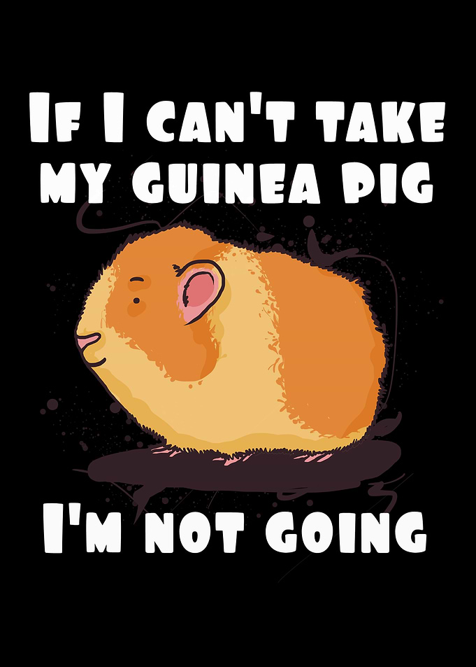 If I cant take my guinea