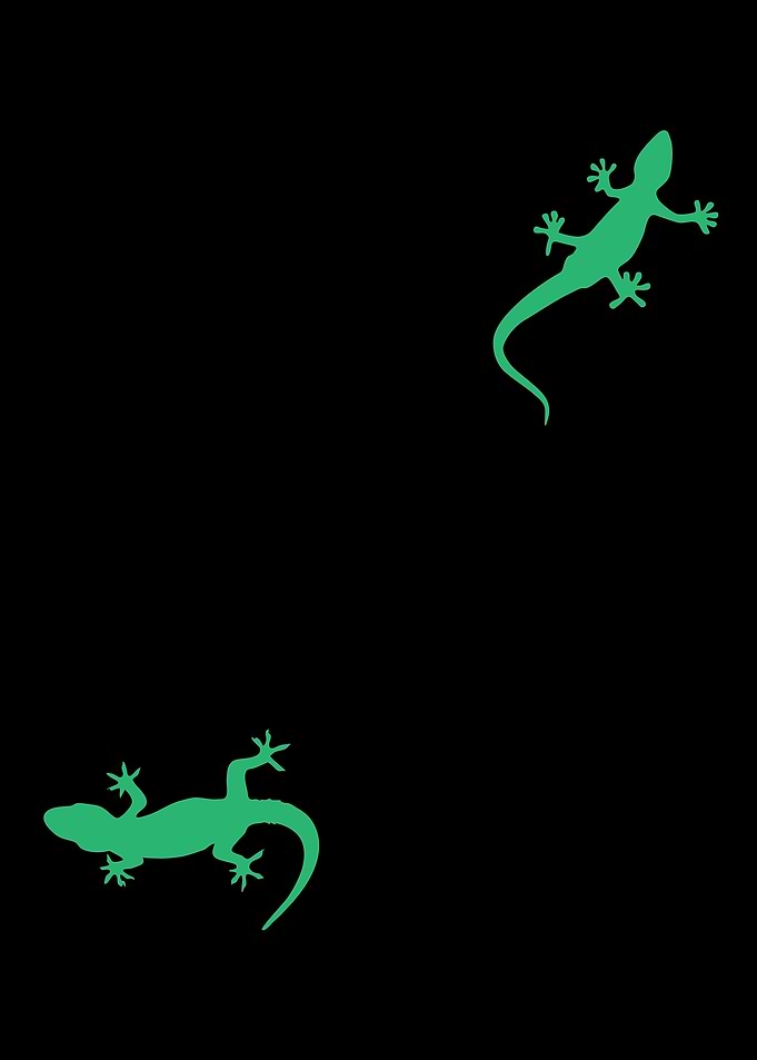 Leopard Gecko