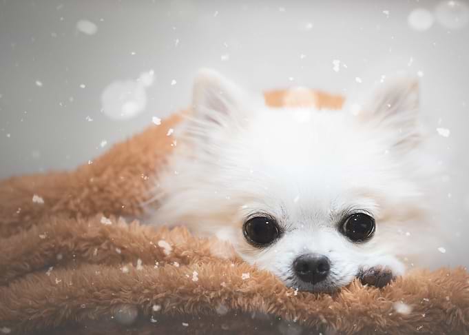 One day in winter