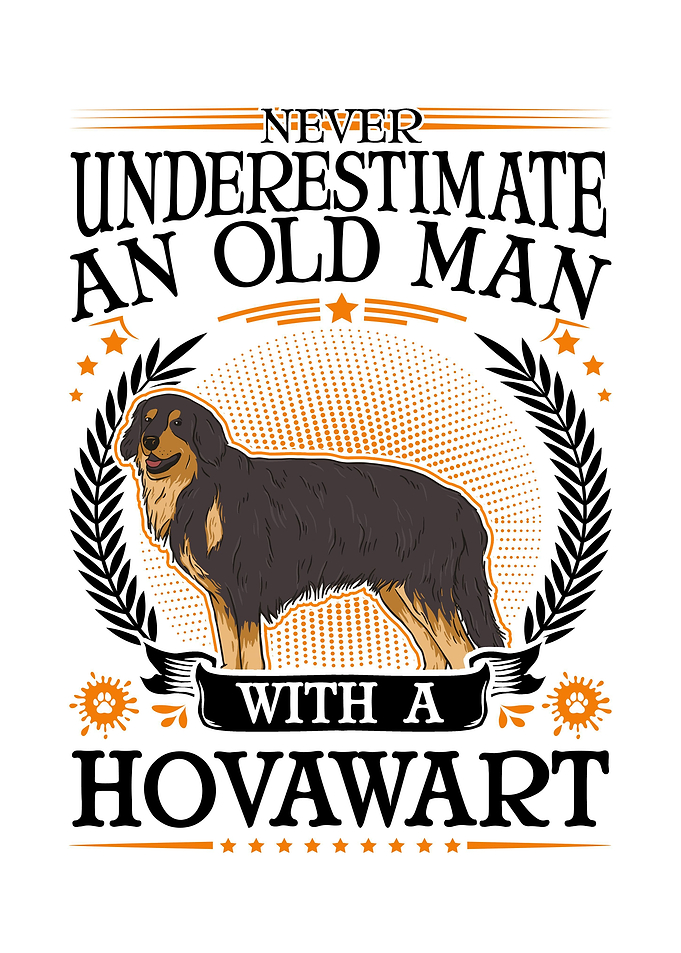 Hovawart Old Man