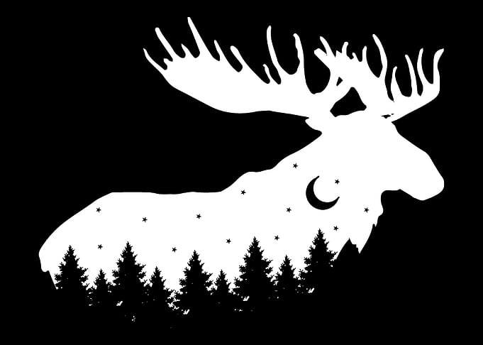 Trees Moose Nature Person