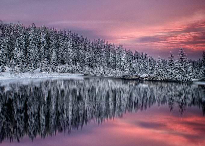Winter Fairytale