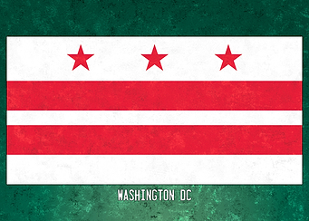 Washington DC Flag
