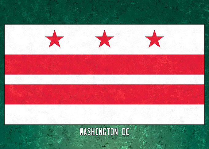 Washington DC Flag