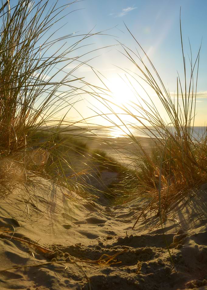 Dunes on the beach