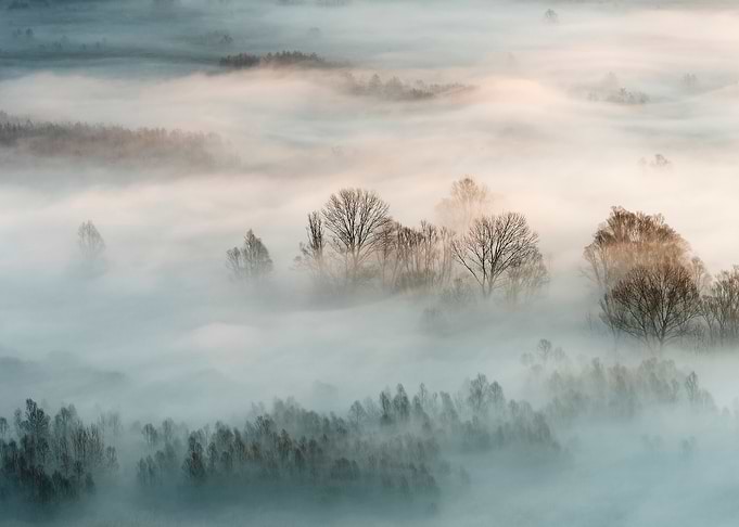 Winter fog