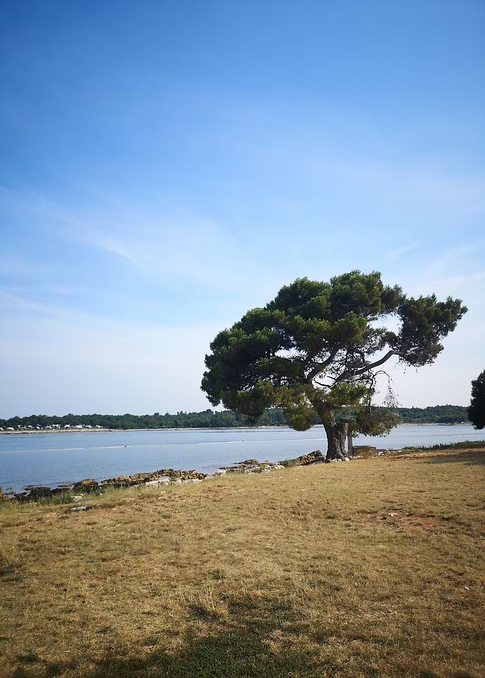 Breathing Porec