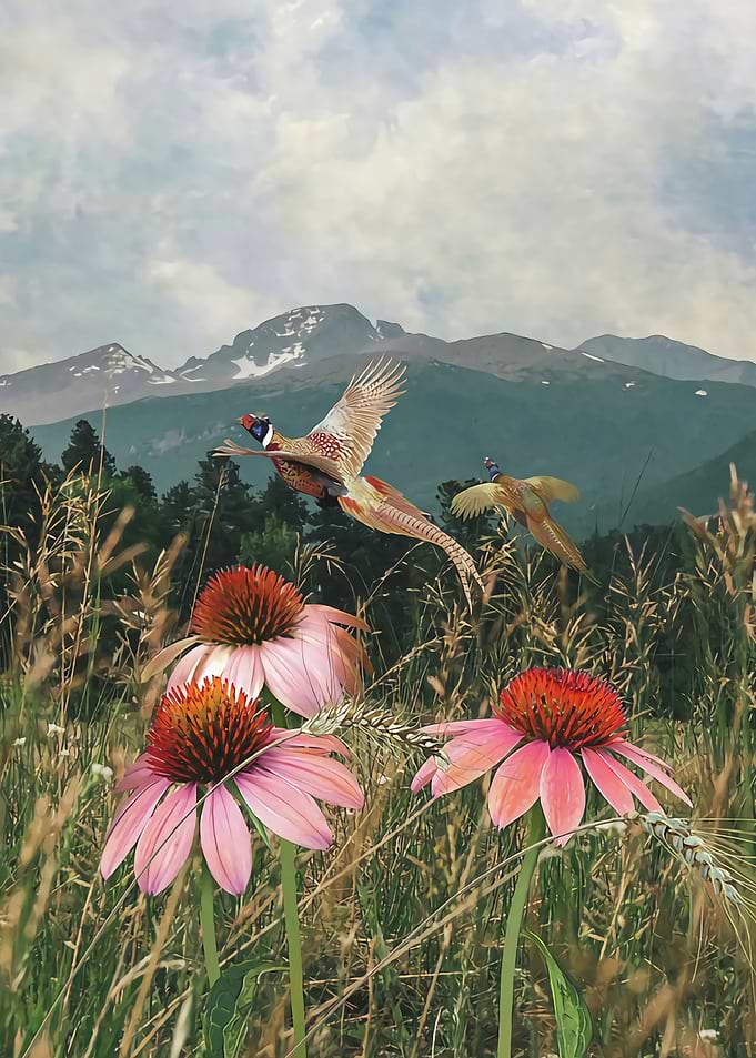 Field of Flowers