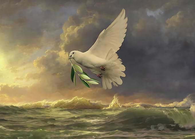 Dove in the Wind