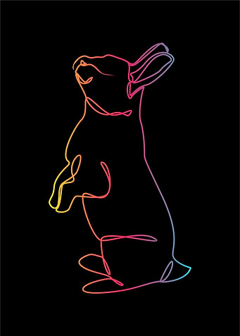 Animal line art collection
