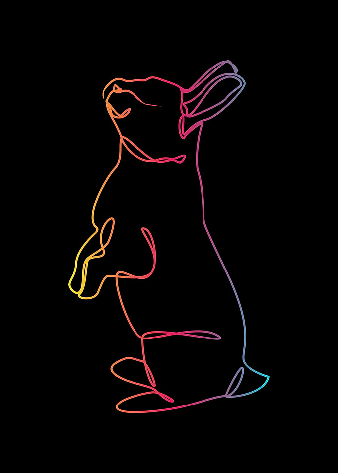 Animal line art collection