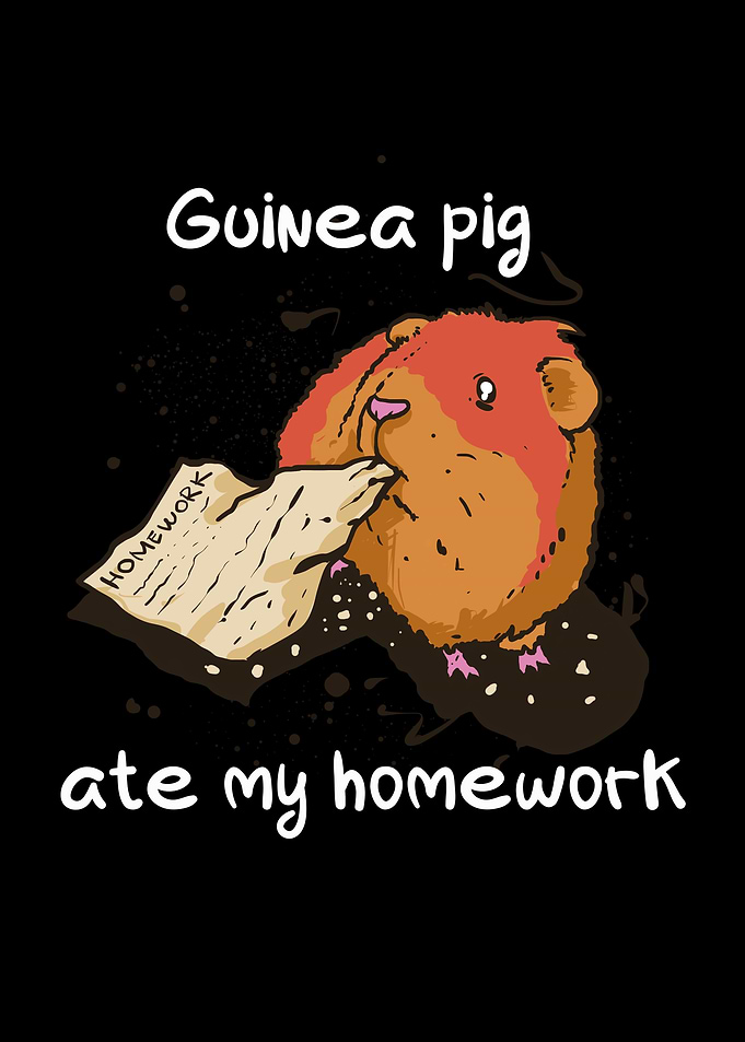 Guinea pig ate my homework