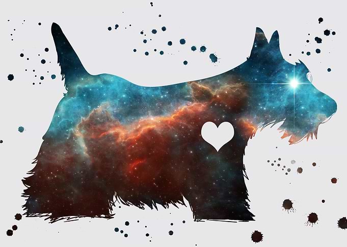 Scottish terrier nebula