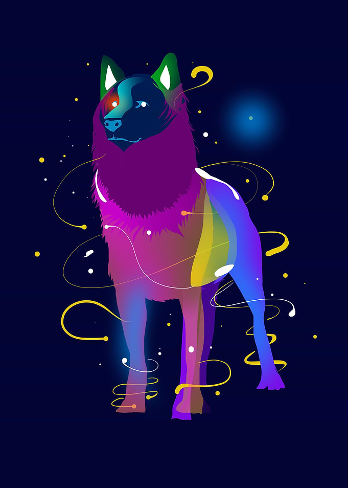 spatial wolf