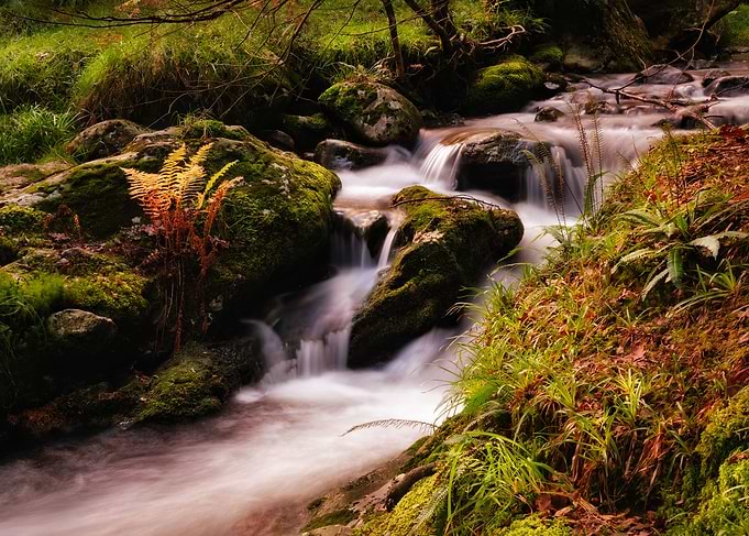 Clear stream