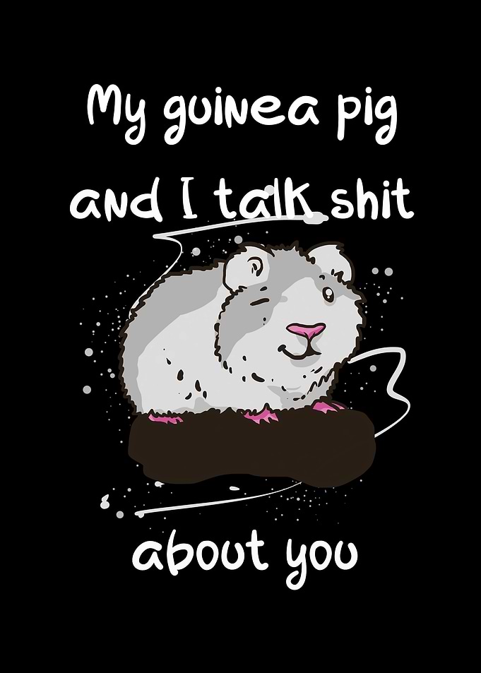 My guinea pig and I talk
