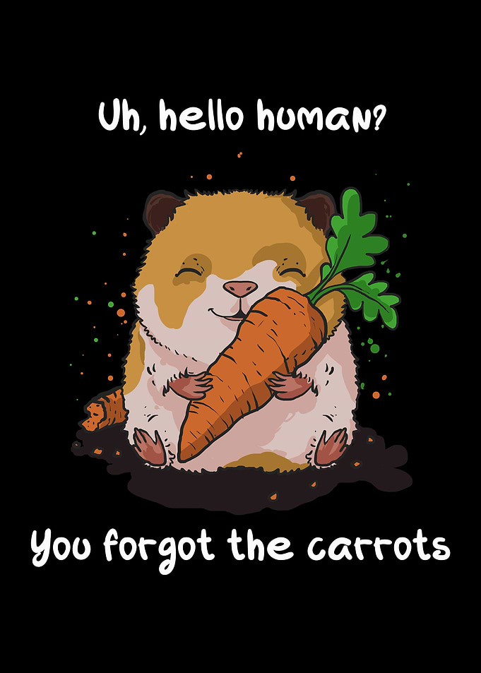Hello humanYou forgot the