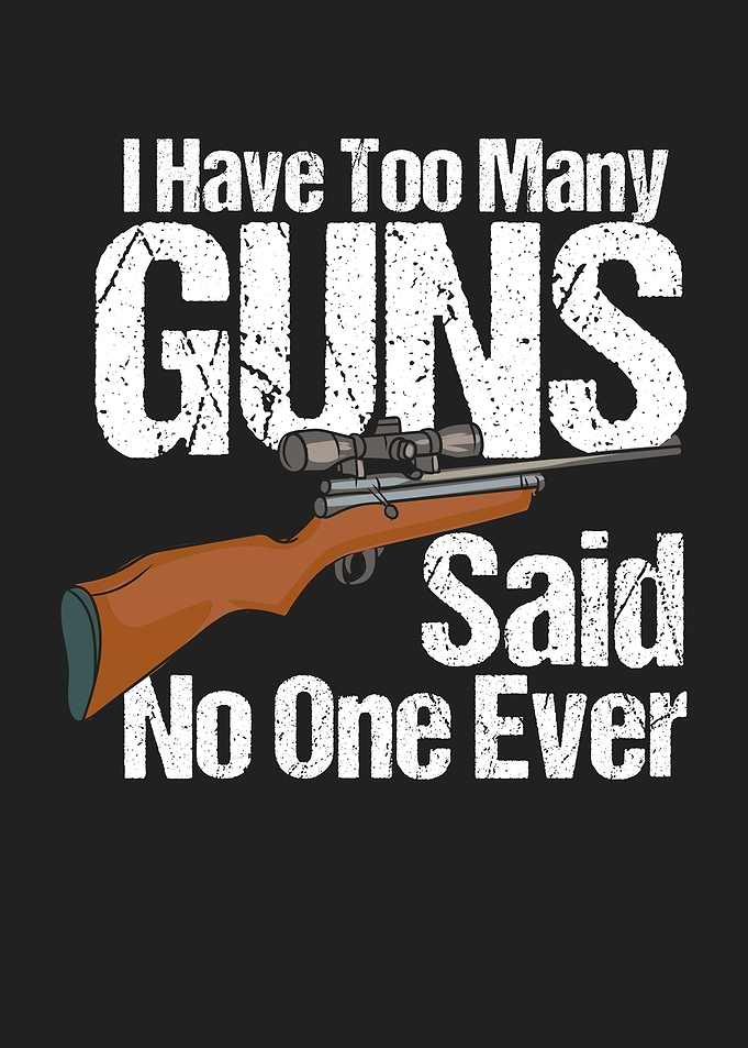 I Have Too Many Guns