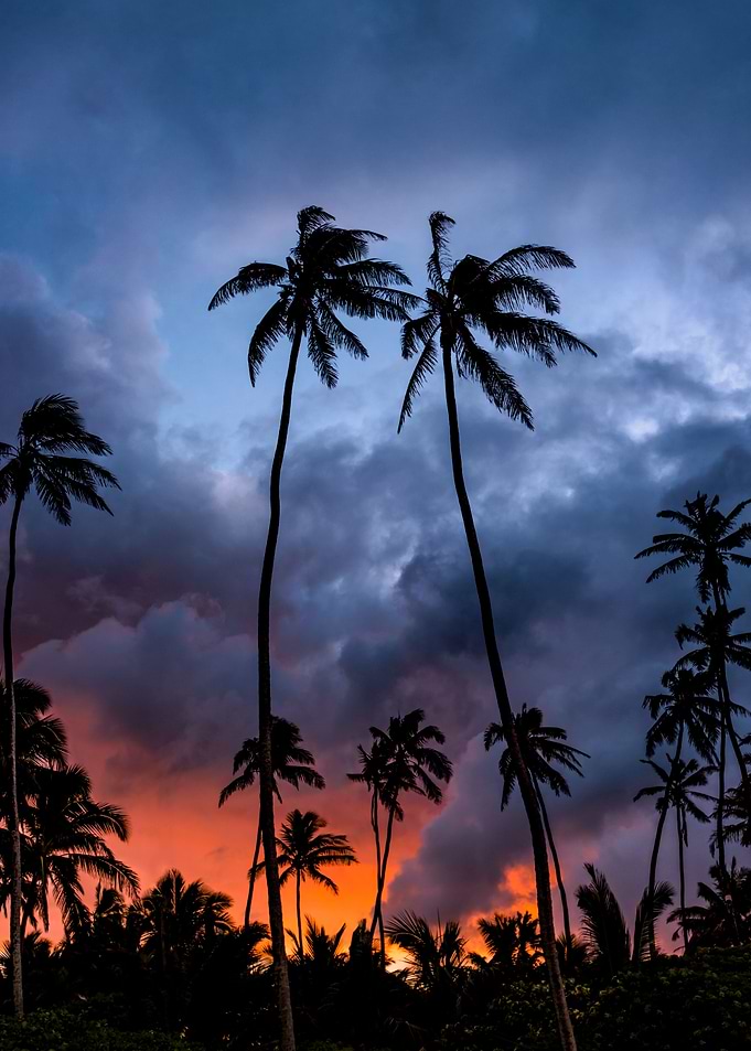 Fire Sunset