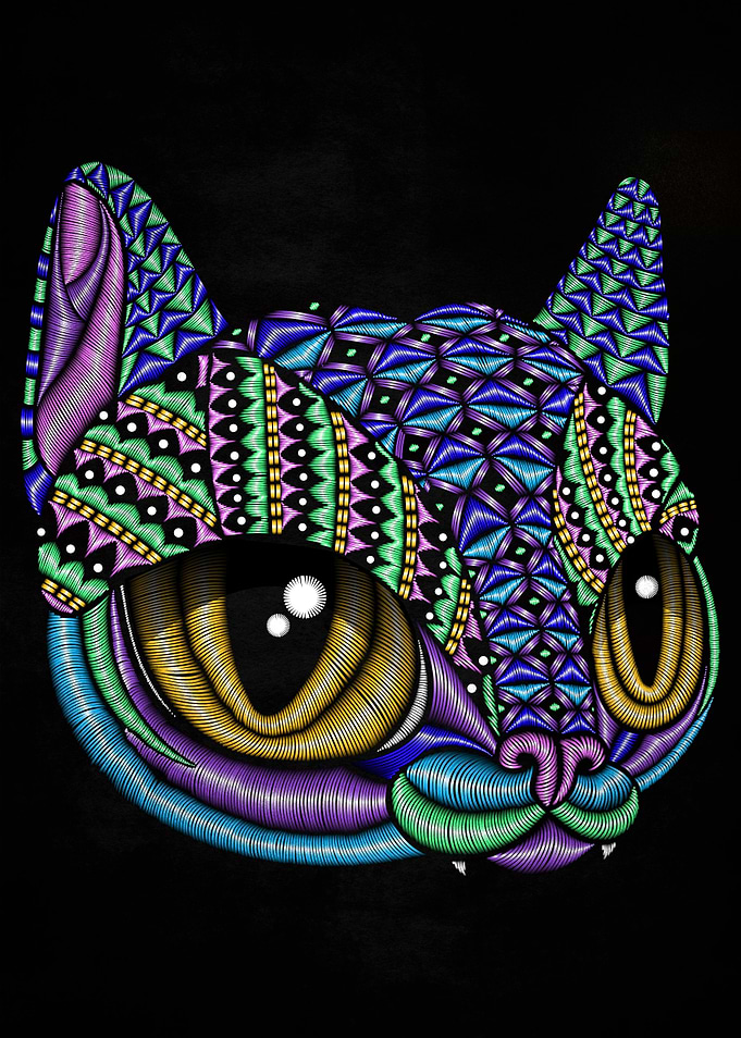 cat artesanal stitches