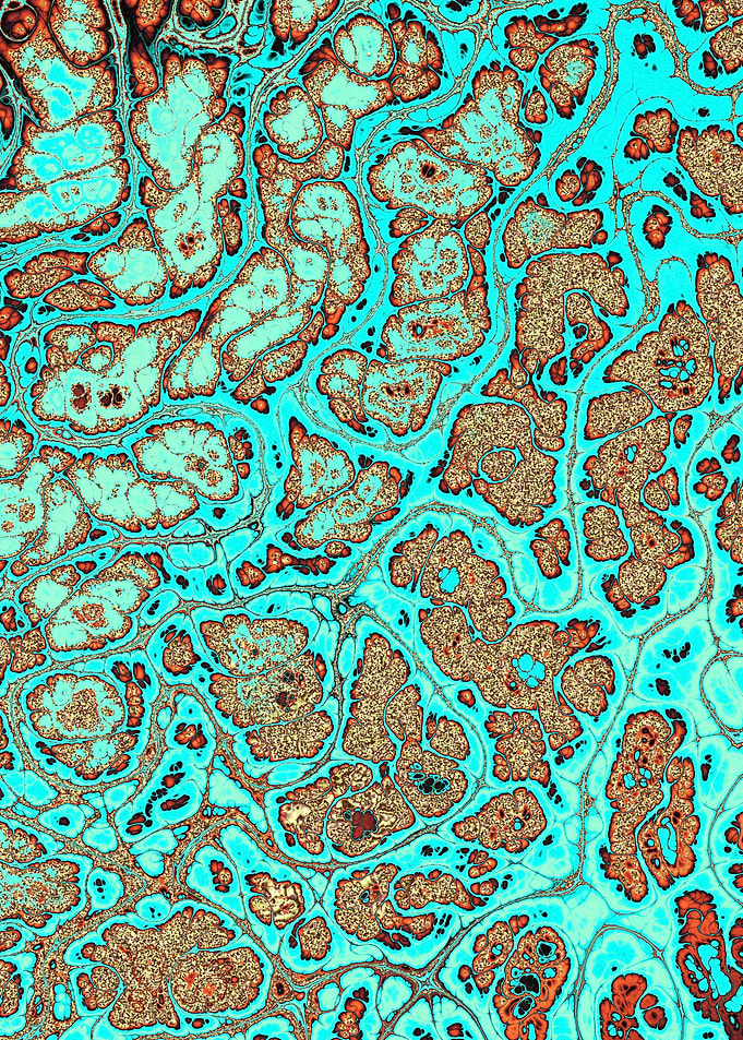 Turquoise Gold Texture 07