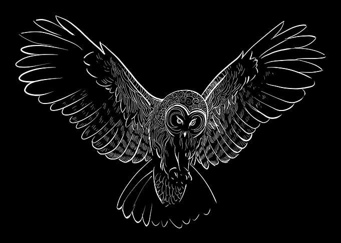Owl Decorative Bird