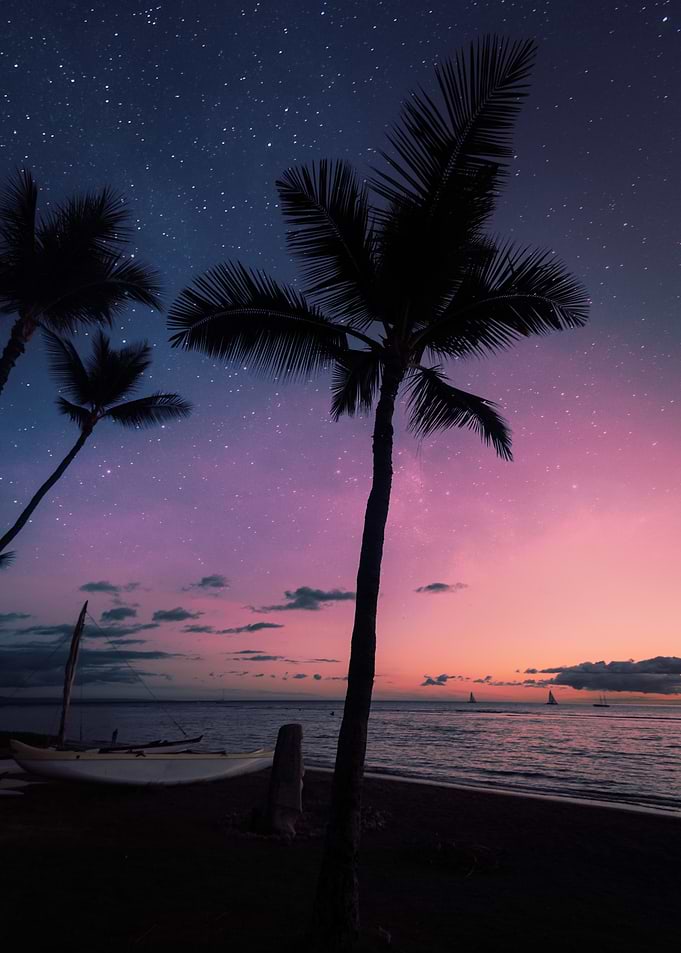 Night Wonder