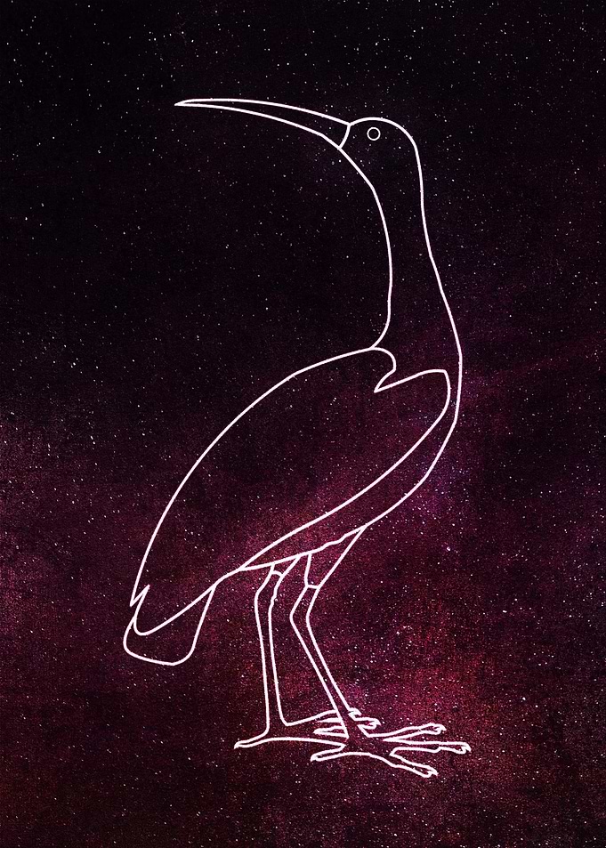 Flamingo Neon